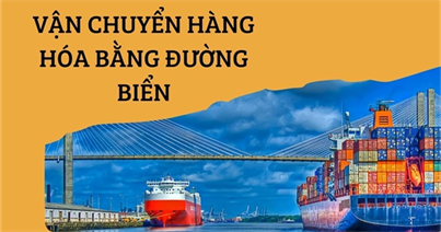 Vận chuyển hàng hóa quốc tế bằng đường biển cần lưu ý những gì?